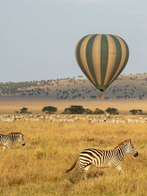  balloon safari through Kili Movmement Expedition